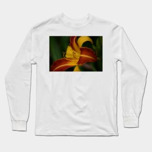 Nature’s Window: Ev Long Sleeve T-Shirt